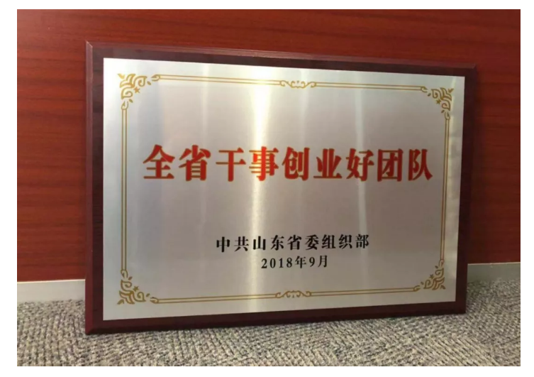 喜報！山東影視傳媒集團山影制作創作團隊榮獲“干事創業好團隊”榮譽稱號！