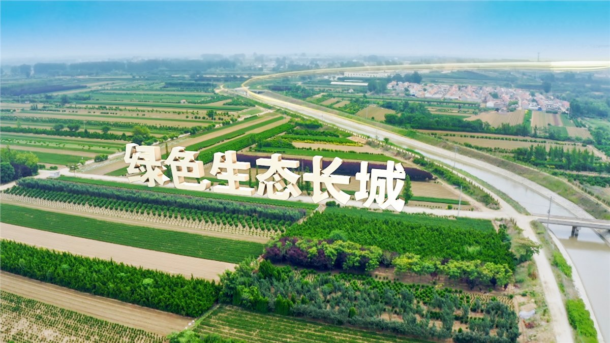 《調水為民 服務發(fā)展》齊魯音像凝聚護水合力