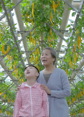 齊魯電子音像出版社